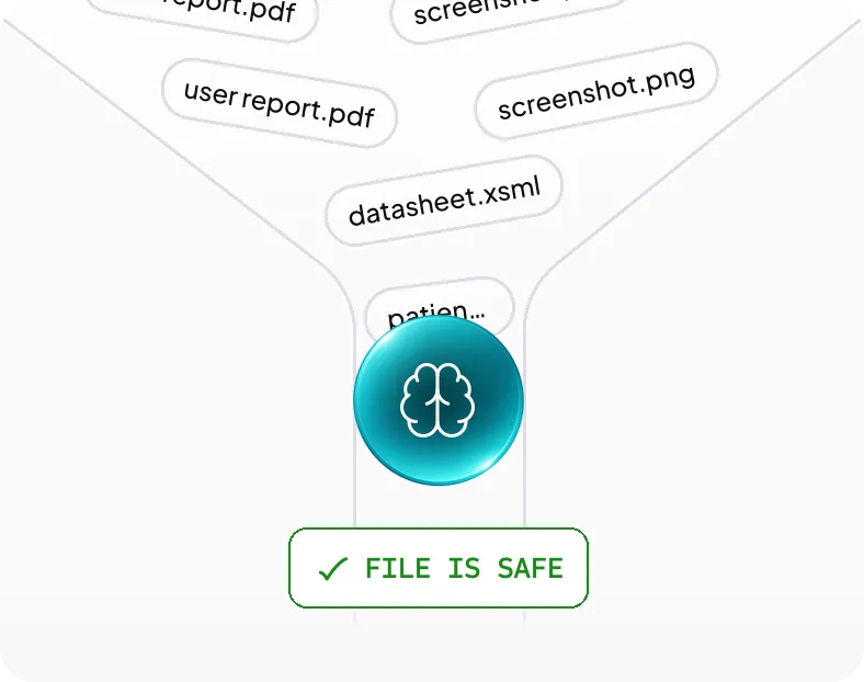 PHI Content Detection